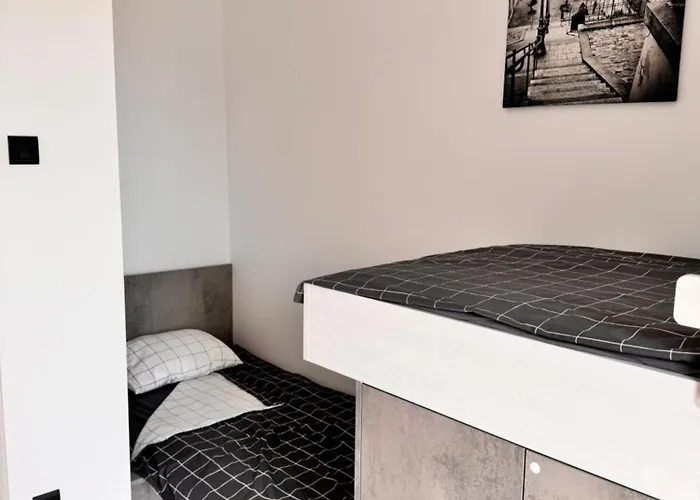 Noa 노비비노돌스키