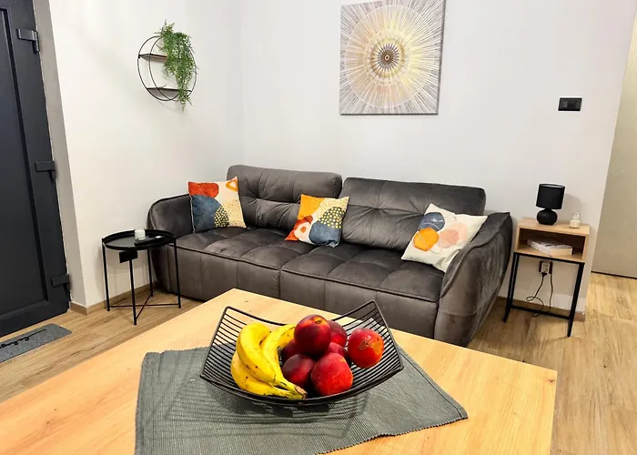 Noa 노비비노돌스키