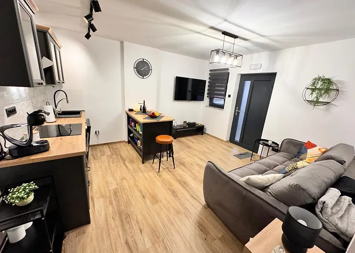 Noa 노비비노돌스키